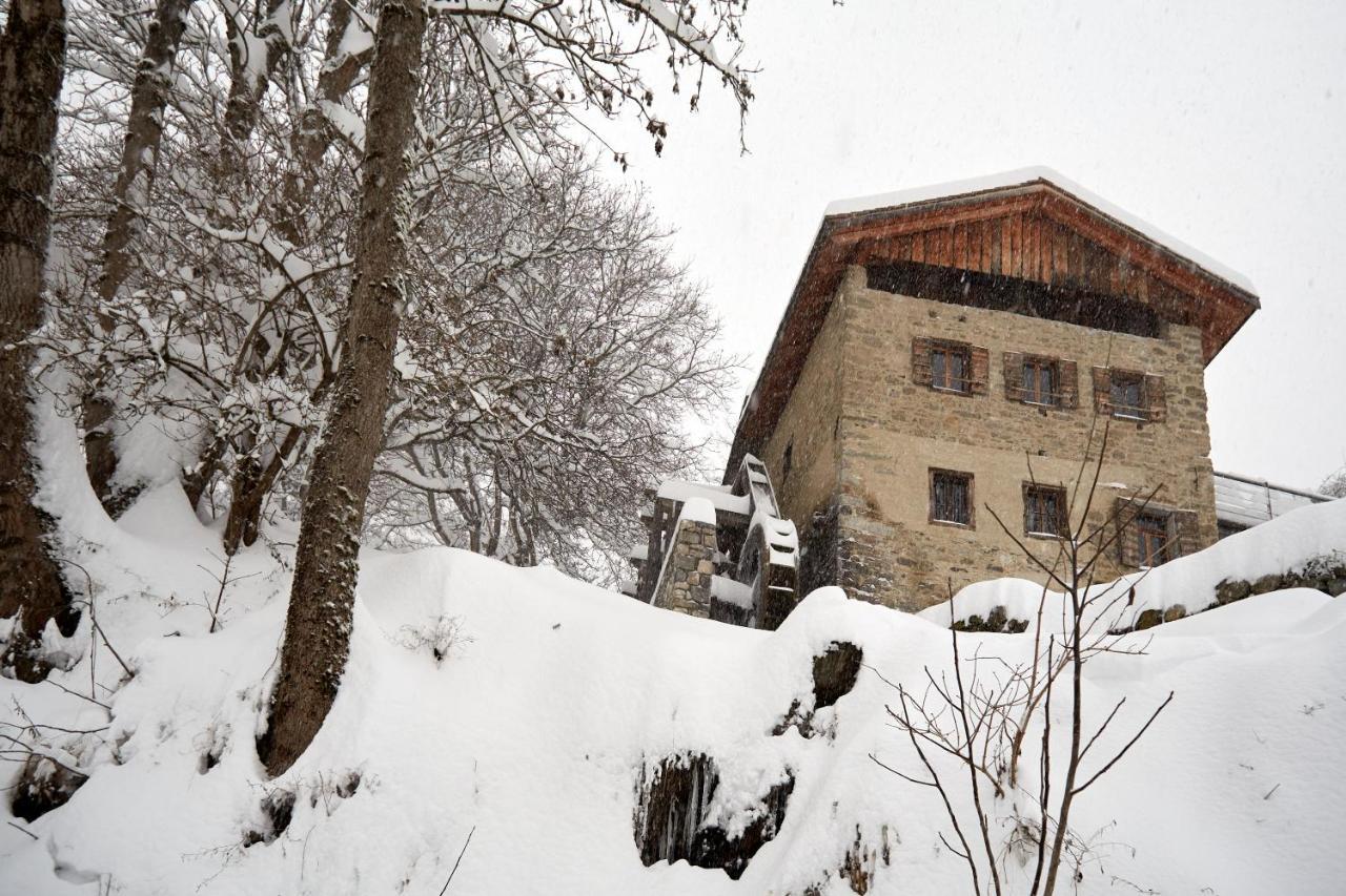 Casa Cadore Lozzo Cadore Eksteriør billede
