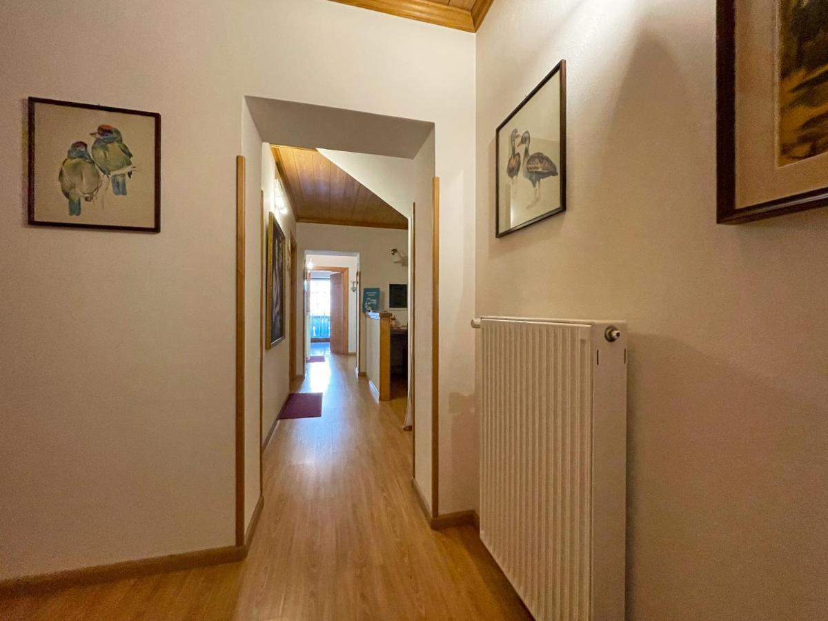 Casa Cadore Lozzo Cadore Eksteriør billede