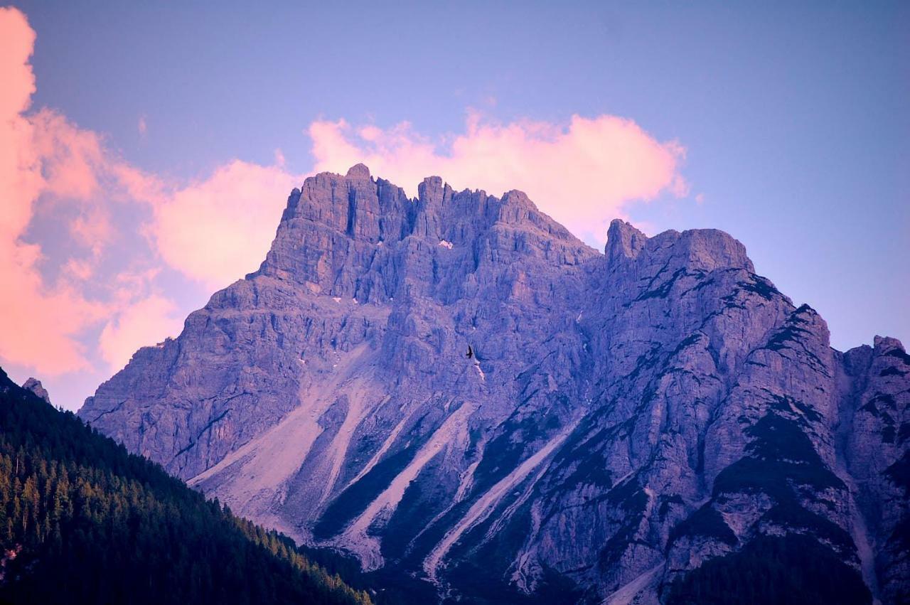 Casa Cadore Lozzo Cadore Eksteriør billede
